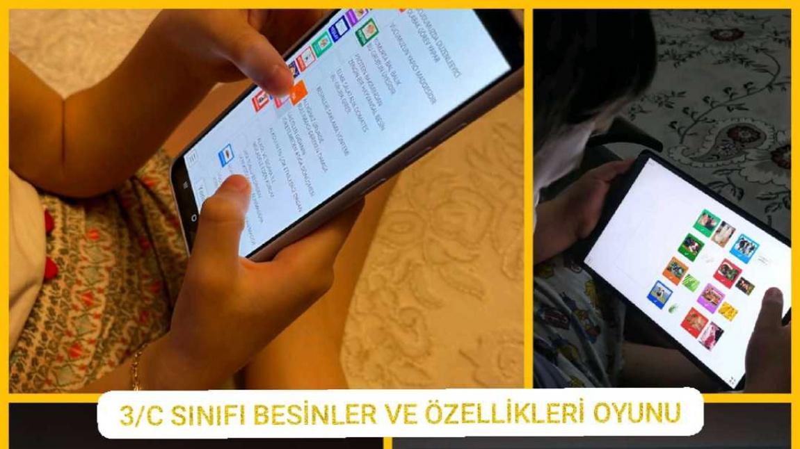 BESİNLER VE ÖZELLİKLERİ